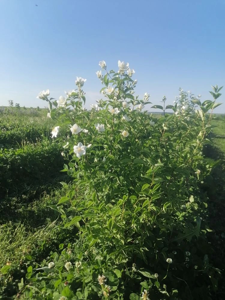 af552912-c60e-4b64-9810-b22c58caeedc